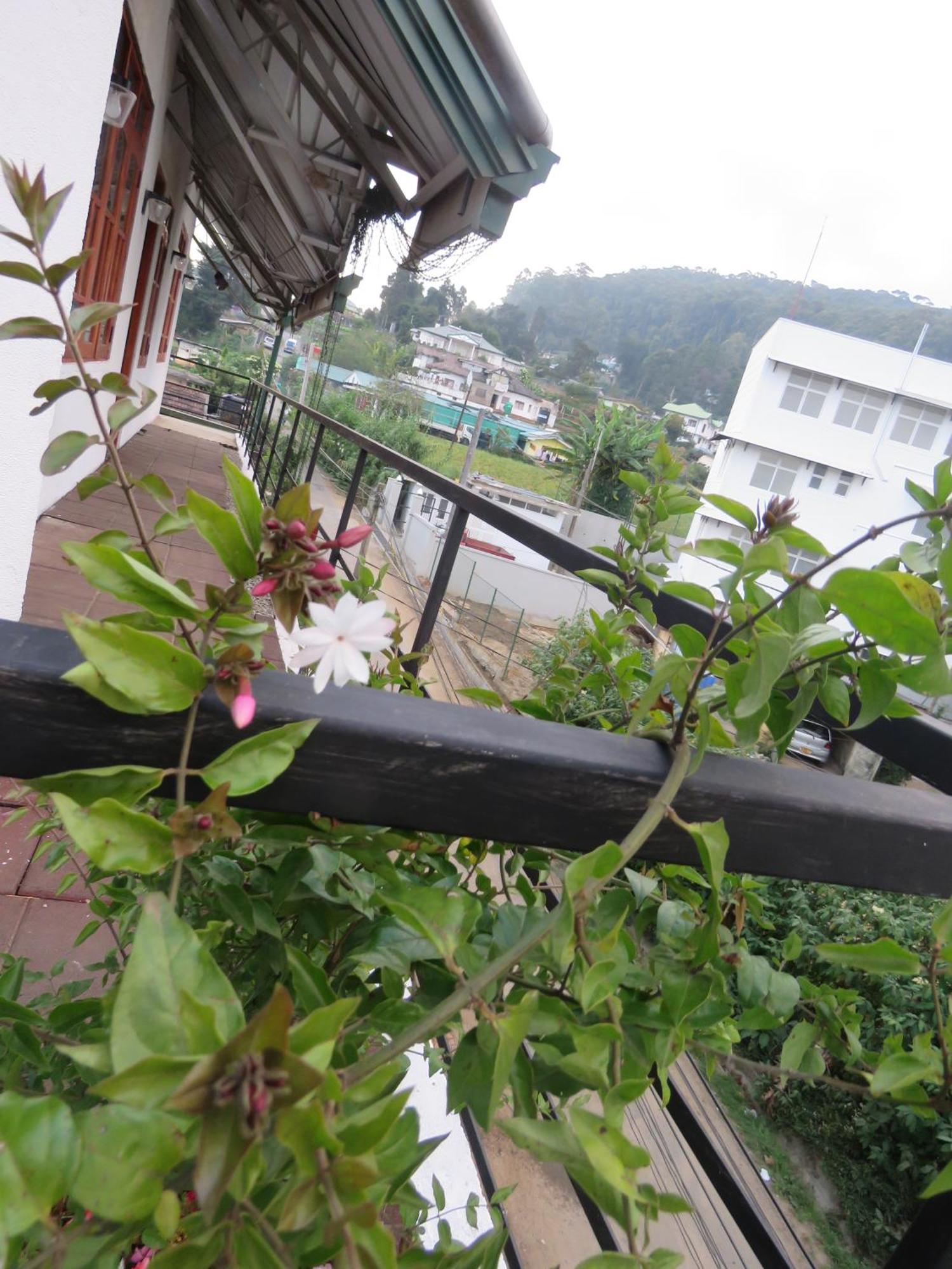 Dream Hill Homestay นูวาราเอลิยา ภายนอก รูปภาพ